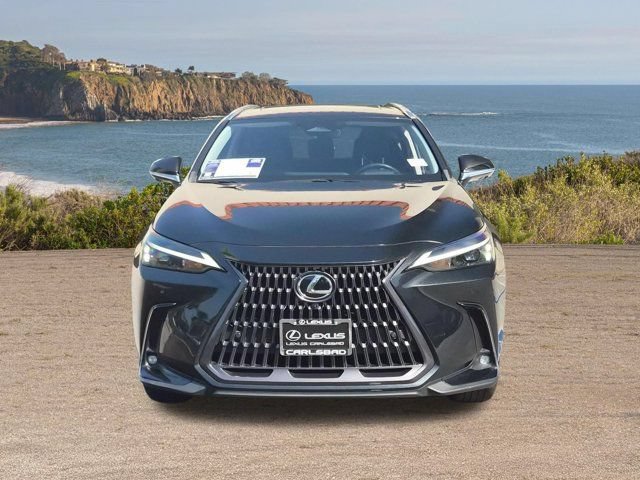 Used 2025 Lexus NX 350h AWD w/ Cold Area Package image 2