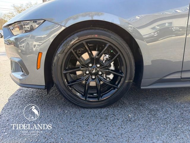 New 2026 Ford Mustang Premium w/ Mustang Nite Pony Package image 32