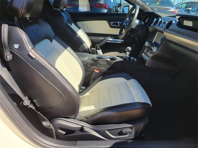 Used 2015 Ford Mustang 50 Years image 10