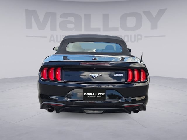 Used 2023 Ford Mustang Premium RWD image 4