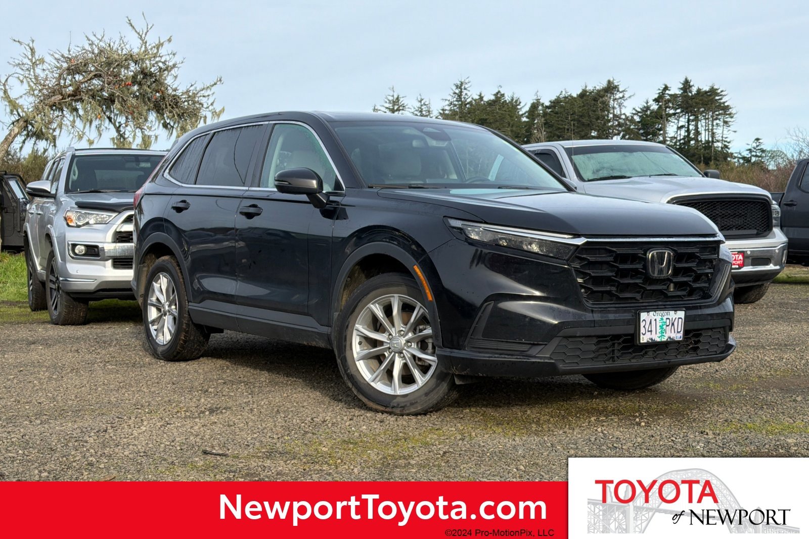 Used 2023 Honda CR-V EX image 1