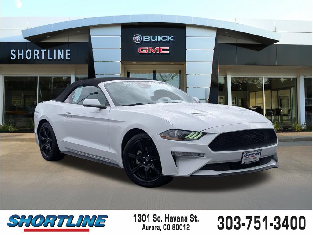 Used 2019 Ford Mustang Premium w/ Equipment Group 201A RWD image 1