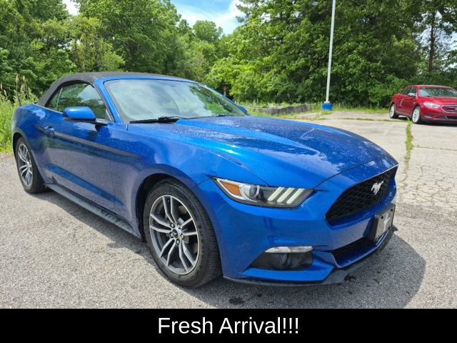 Used 2017 Ford Mustang Premium RWD image 14