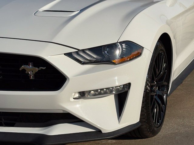Used 2019 Ford Mustang GT Premium w/ Equipment Group 401A RWD image 11