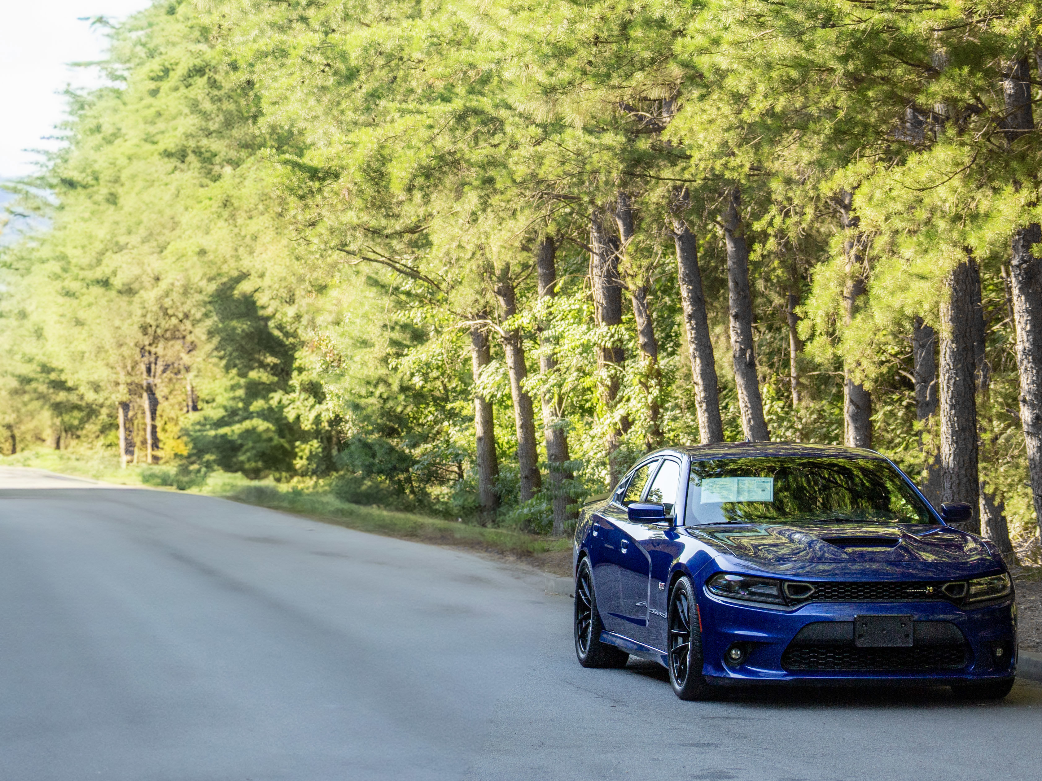 Used 2019 Dodge Charger Scat Pack image 39