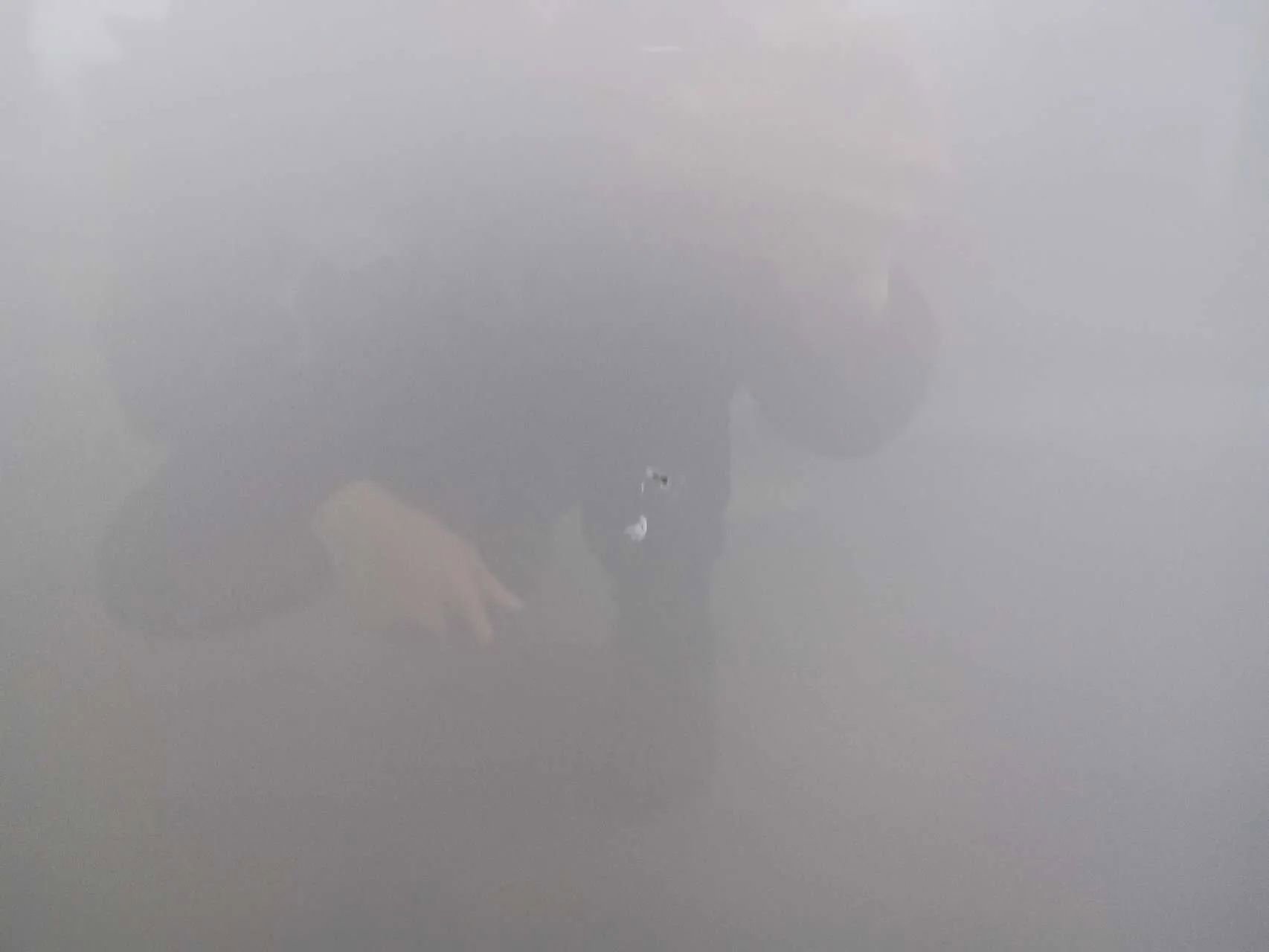 Used 2009 Bentley Flying Spur Flying Spur image 27