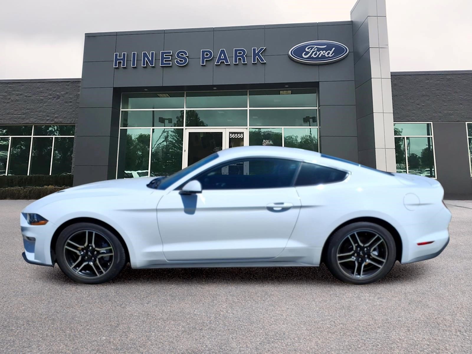 Used 2020 Ford Mustang Premium w/ Equipment Group 201A RWD image 6