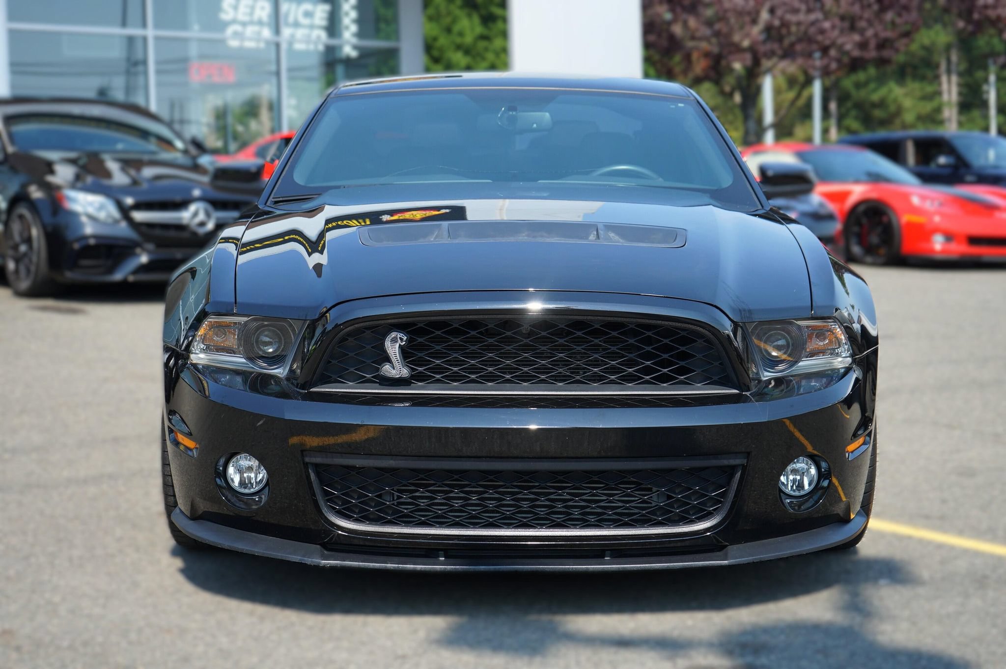 Used 2011 Ford Mustang Shelby GT500 w/ SVT Performance Pkg RWD image 8