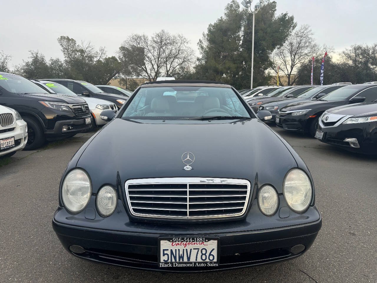Used 2002 Mercedes-Benz CLK 430 Cabriolet image 2