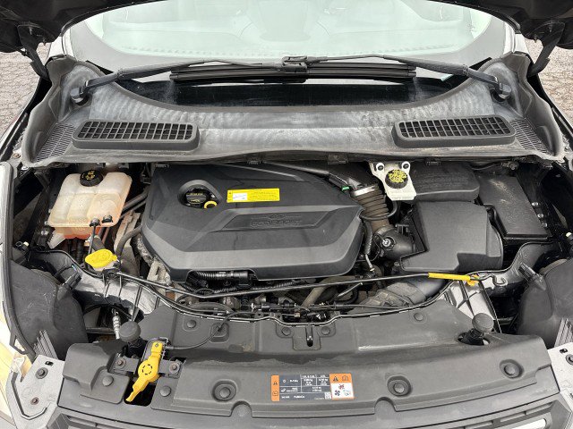Used 2015 Ford Escape SE w/ Equipment Group 201A image 17