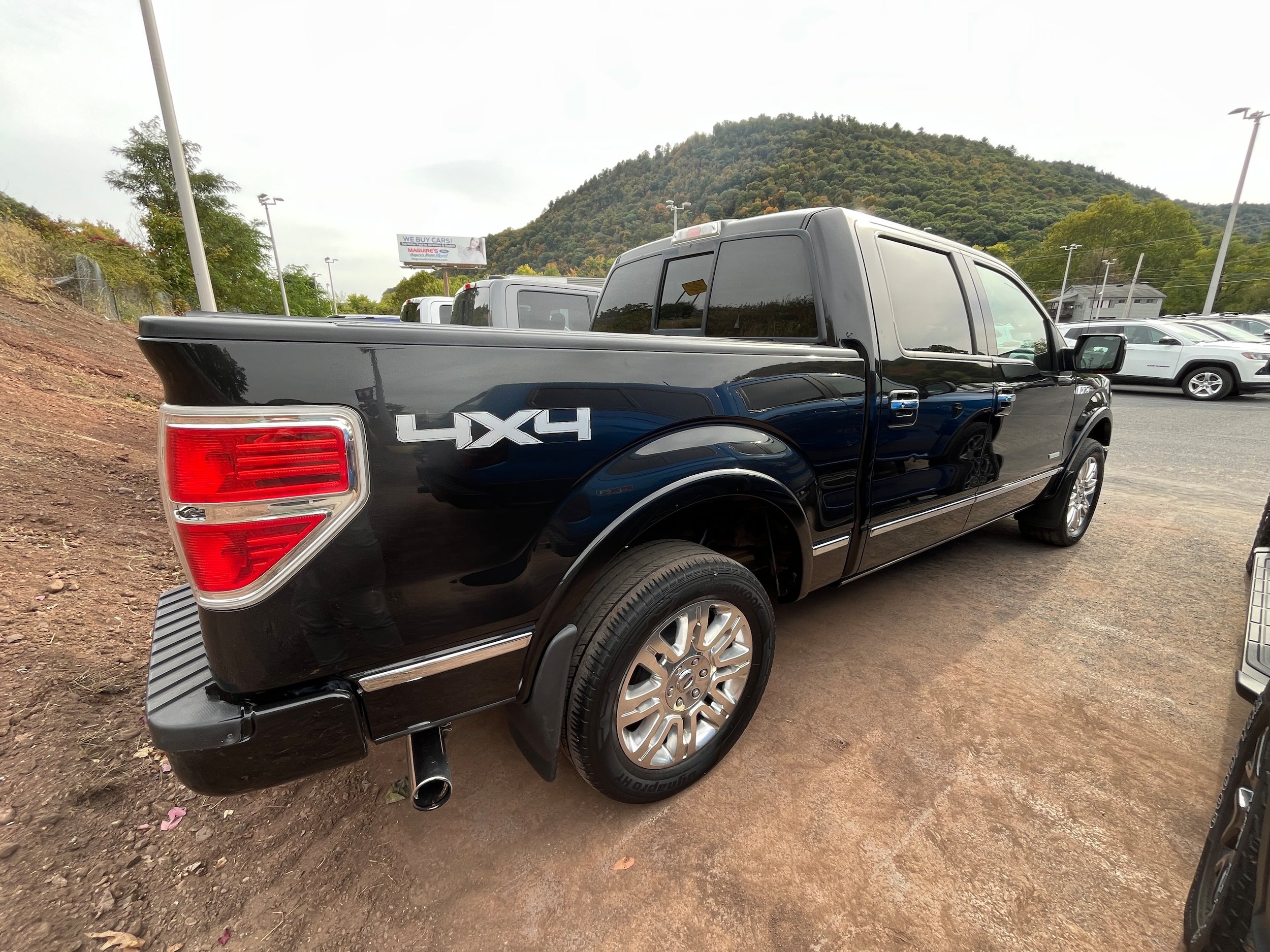 Used 2013 Ford F150 Platinum AWD/4WD image 6