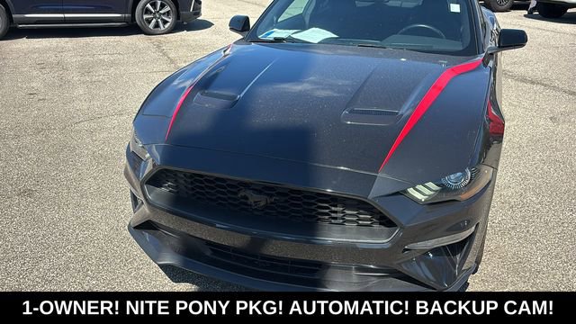 Used 2023 Ford Mustang Coupe w/ Equipment Group 101A RWD image 7