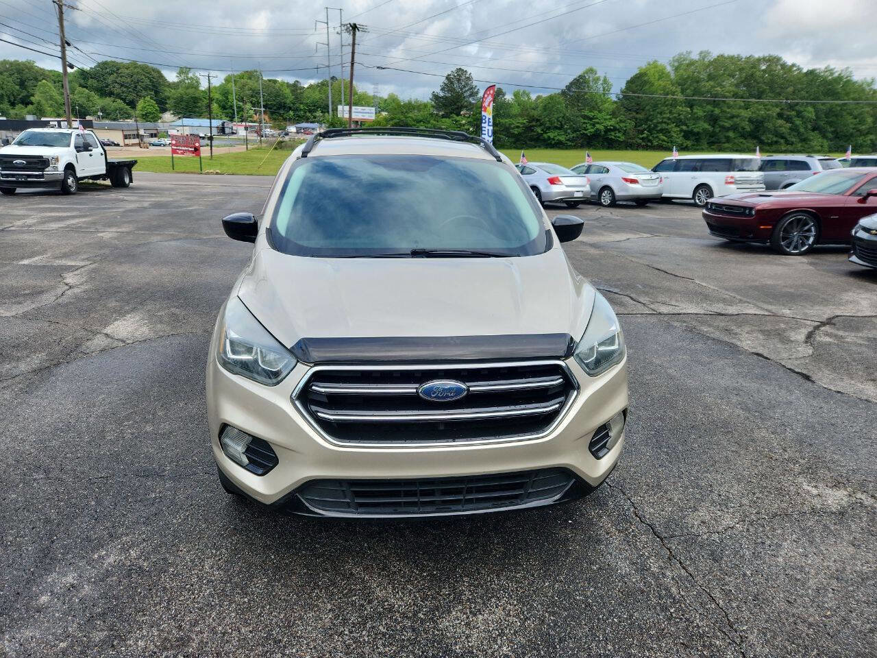 Used 2017 Ford Escape SE w/ SE Sport Appearance Package image 8