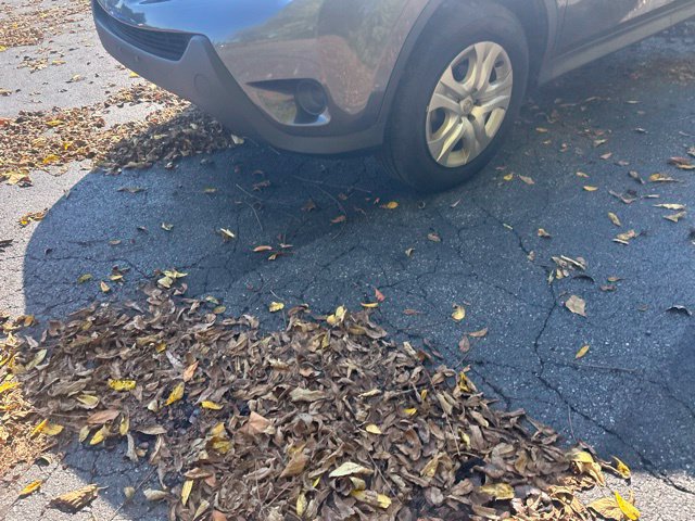 Used 2015 Toyota RAV4 LE AWD/4WD image 7