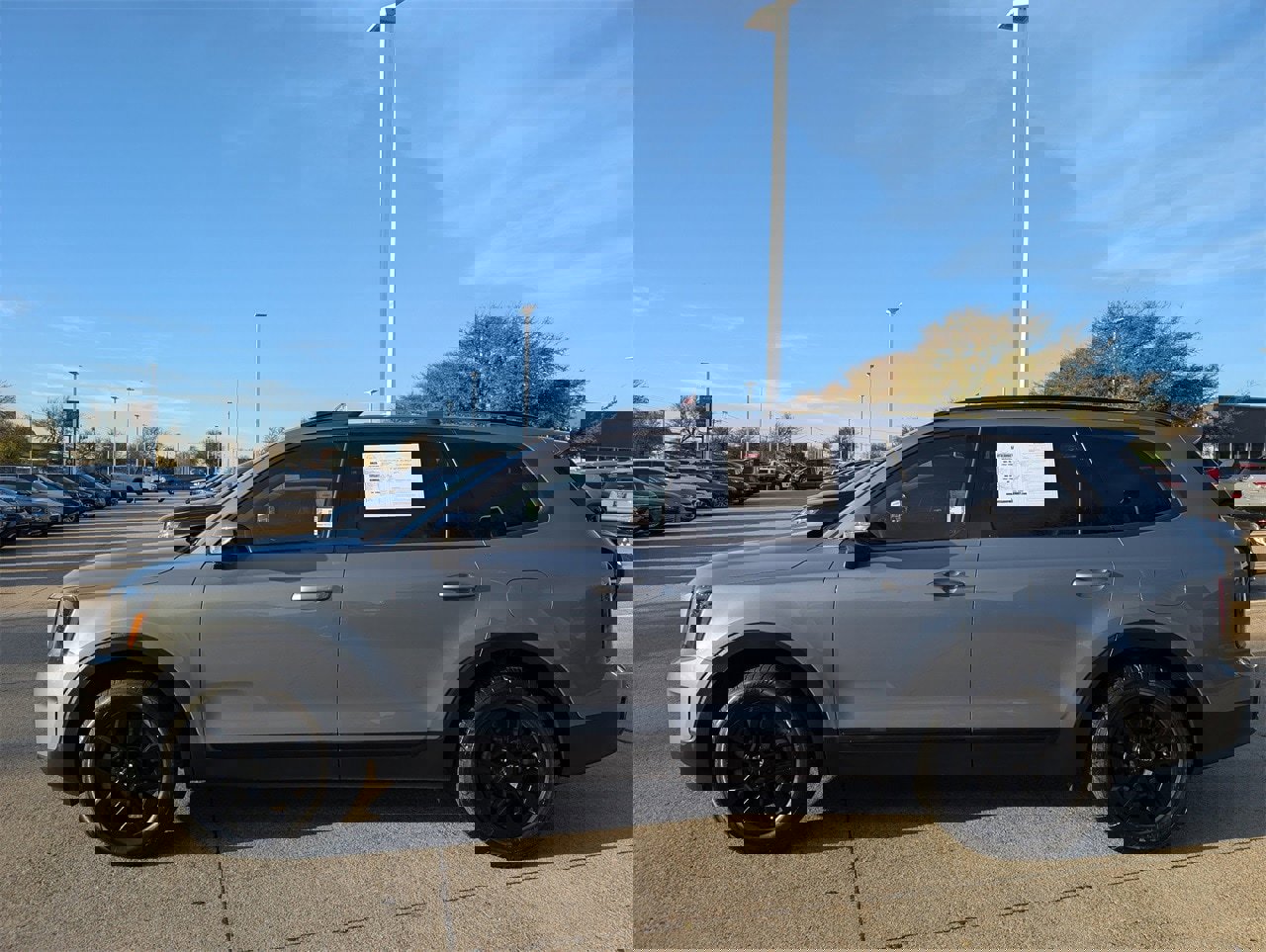 Used 2024 Kia Telluride SX Prestige X-Pro image 3