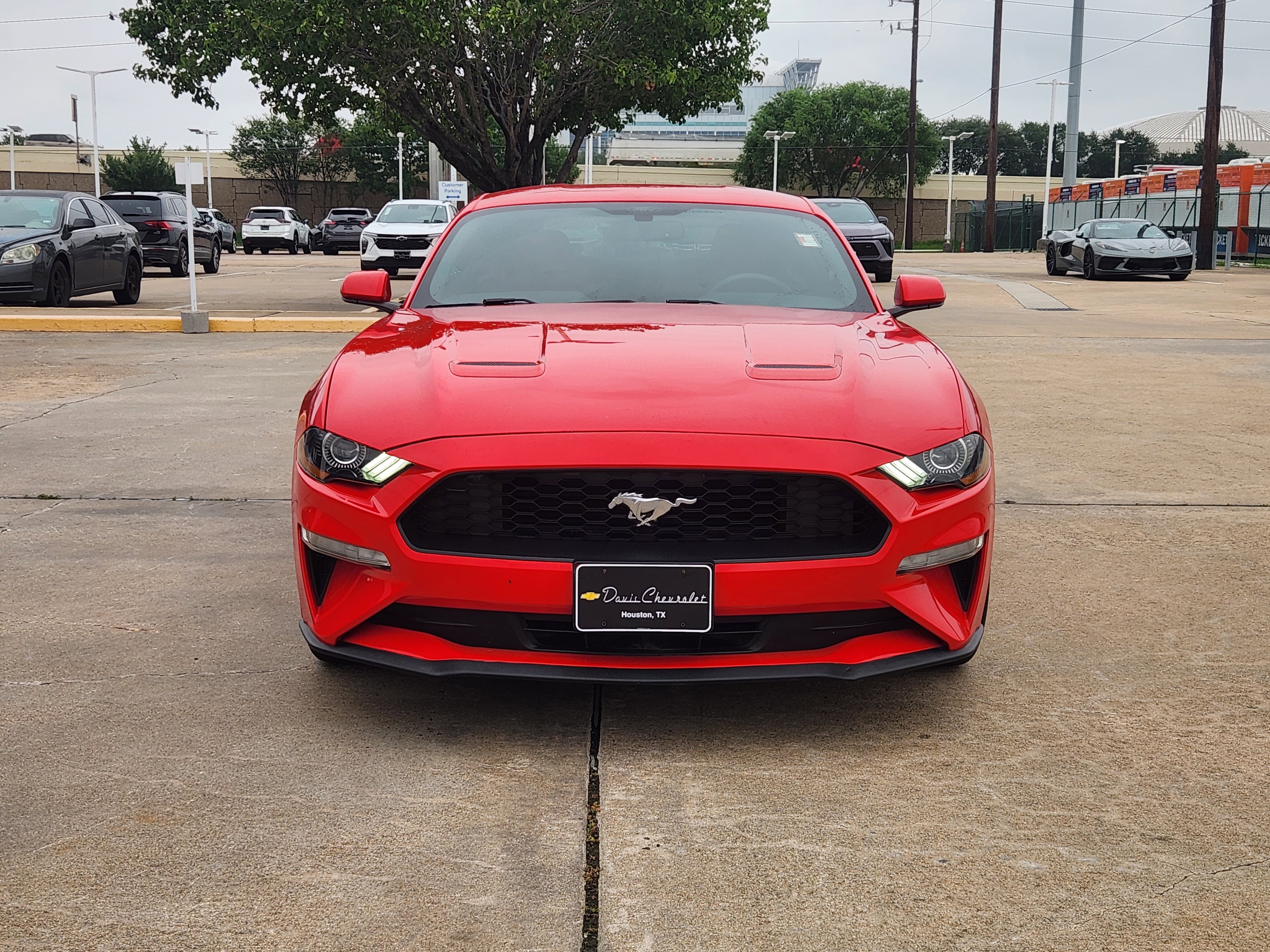 Used 2019 Ford Mustang Coupe RWD image 3