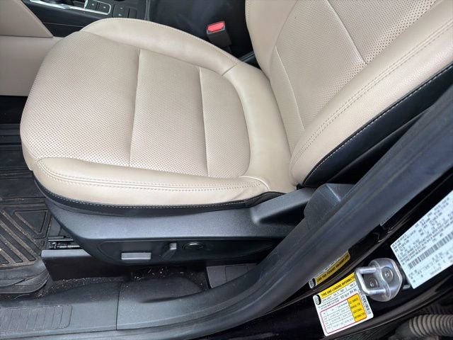 Used 2021 Ford Escape SEL w/ Technology Package FWD image 6