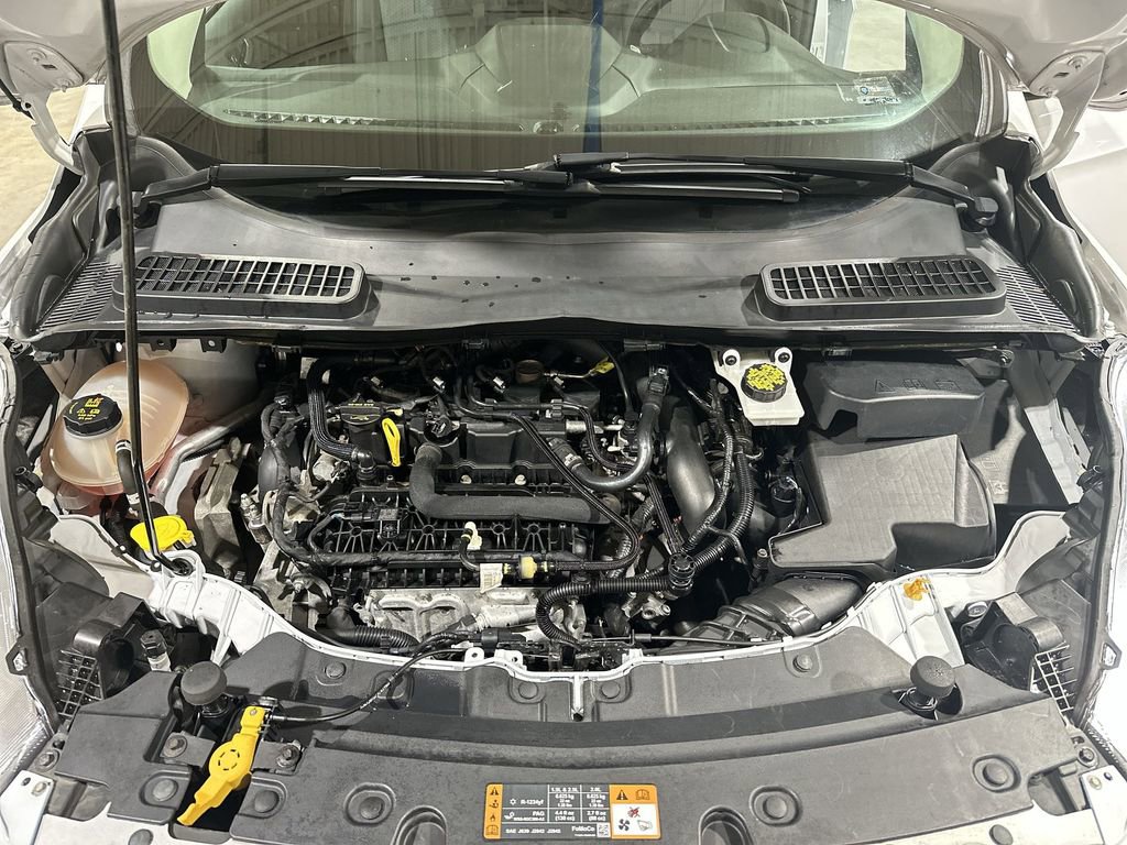 Used 2019 Ford Escape SE image 17