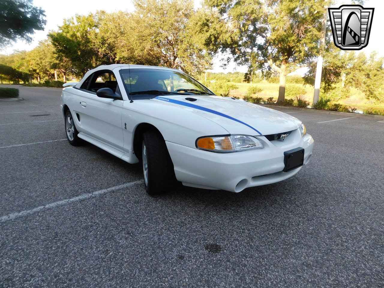 Used 1997 Ford Mustang Cobra image 6