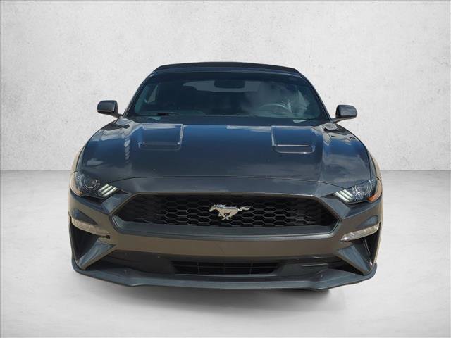 Used 2018 Ford Mustang Convertible w/ Equipment Group 101A RWD image 2