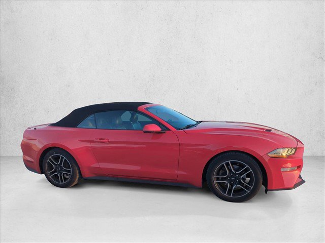 Used 2019 Ford Mustang Premium RWD image 4