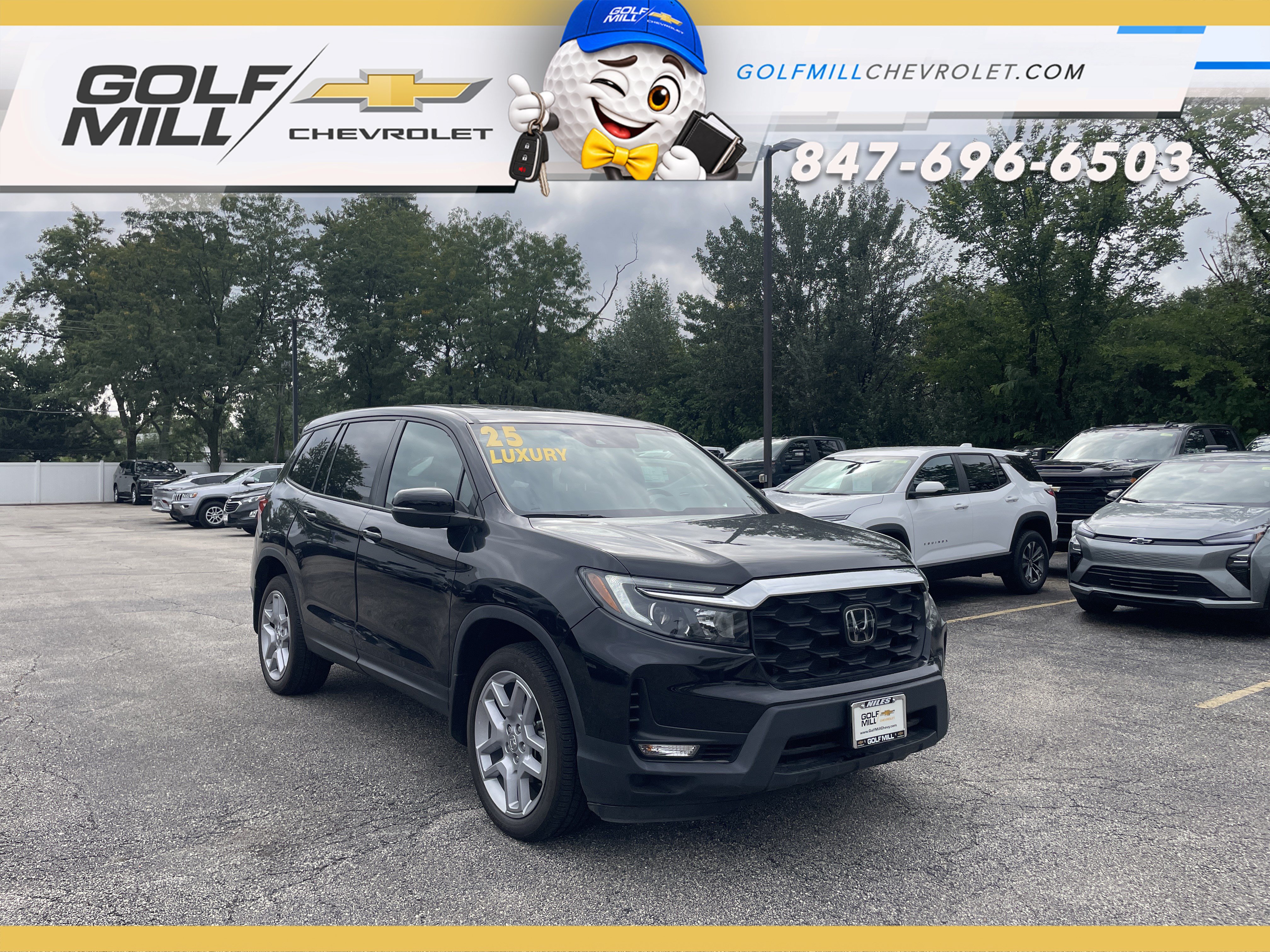Used 2025 Honda Passport EX-L image 3