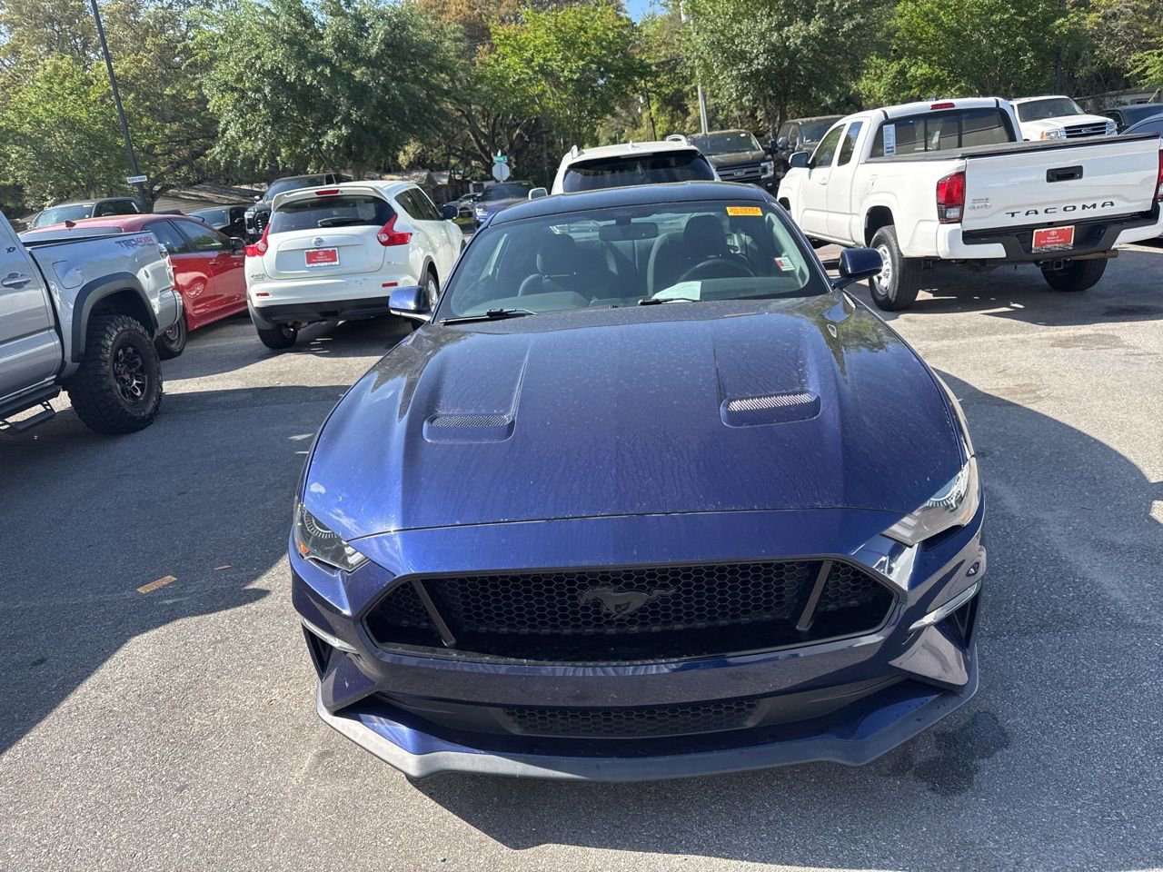 Used 2018 Ford Mustang GT w/ Equipment Group 301A RWD image 2