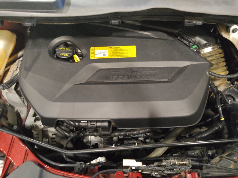 Used 2014 Ford Escape SE FWD image 30