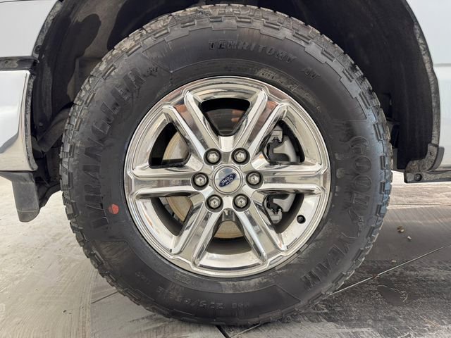Used 2025 Ford F150 XLT w/ Equipment Group 301A Standard AWD/4WD image 10