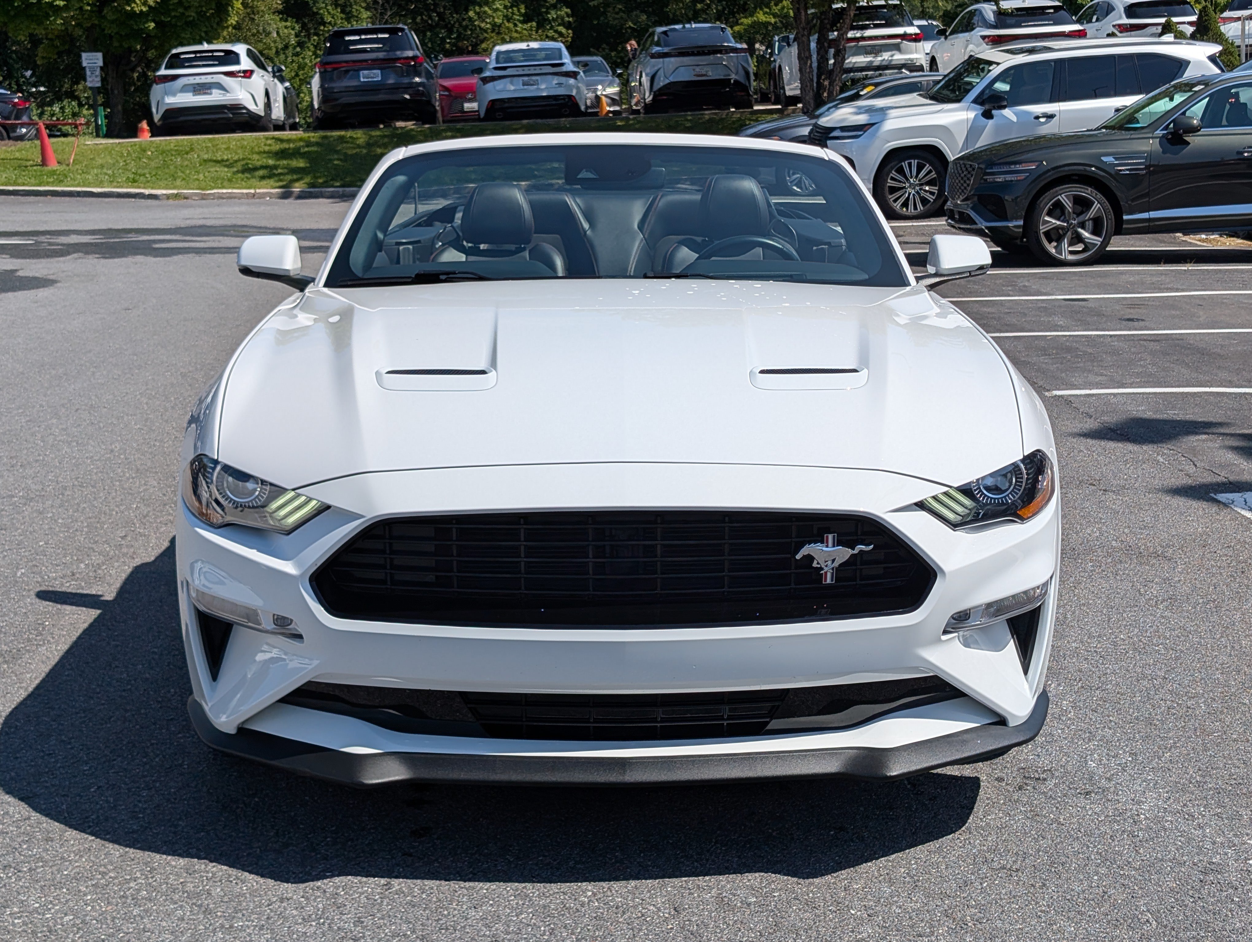 Used 2019 Ford Mustang GT Premium w/ Equipment Group 401A RWD image 8