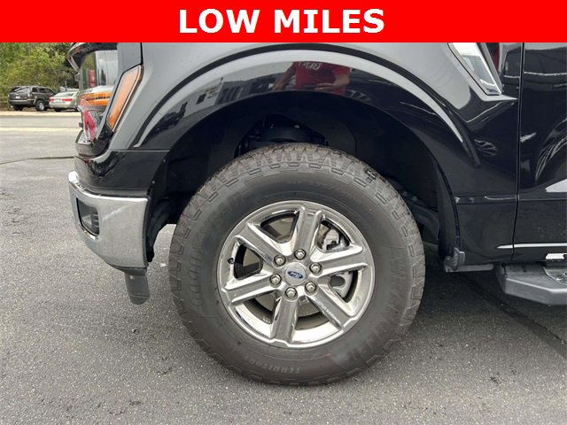 Used 2025 Ford F150 XLT w/ Equipment Group 301A Standard image 8