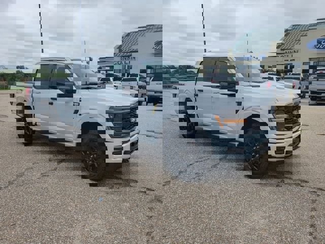 New 2025 Ford F150 STX image 23