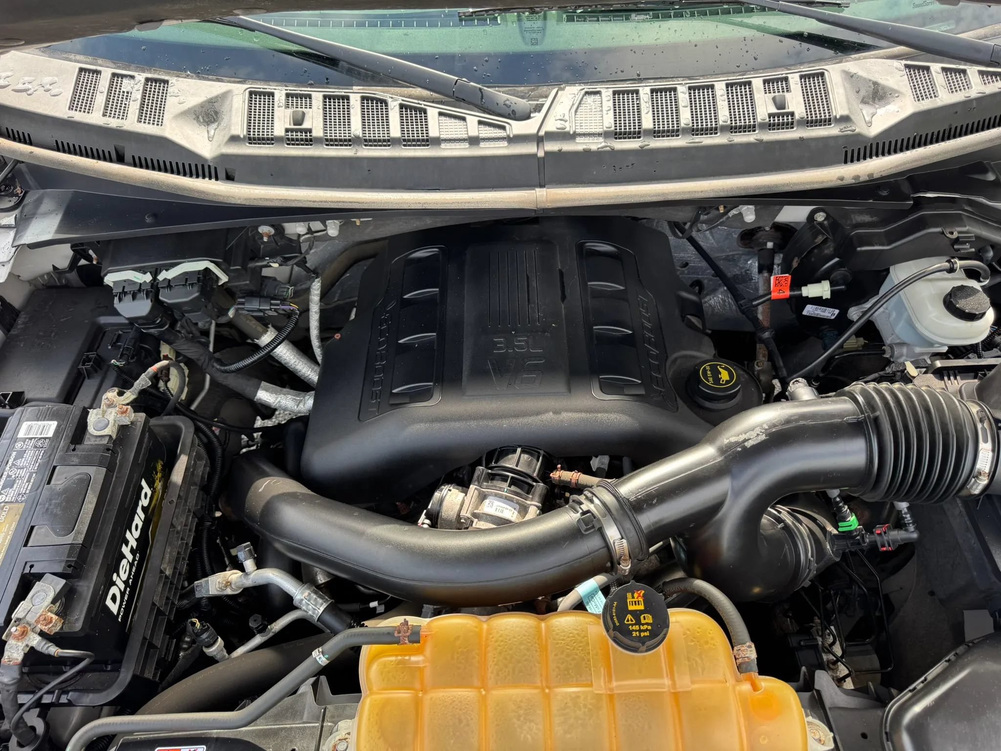 Used 2015 Ford F150 XLT w/ Equipment Group 302A Luxury AWD/4WD image 52