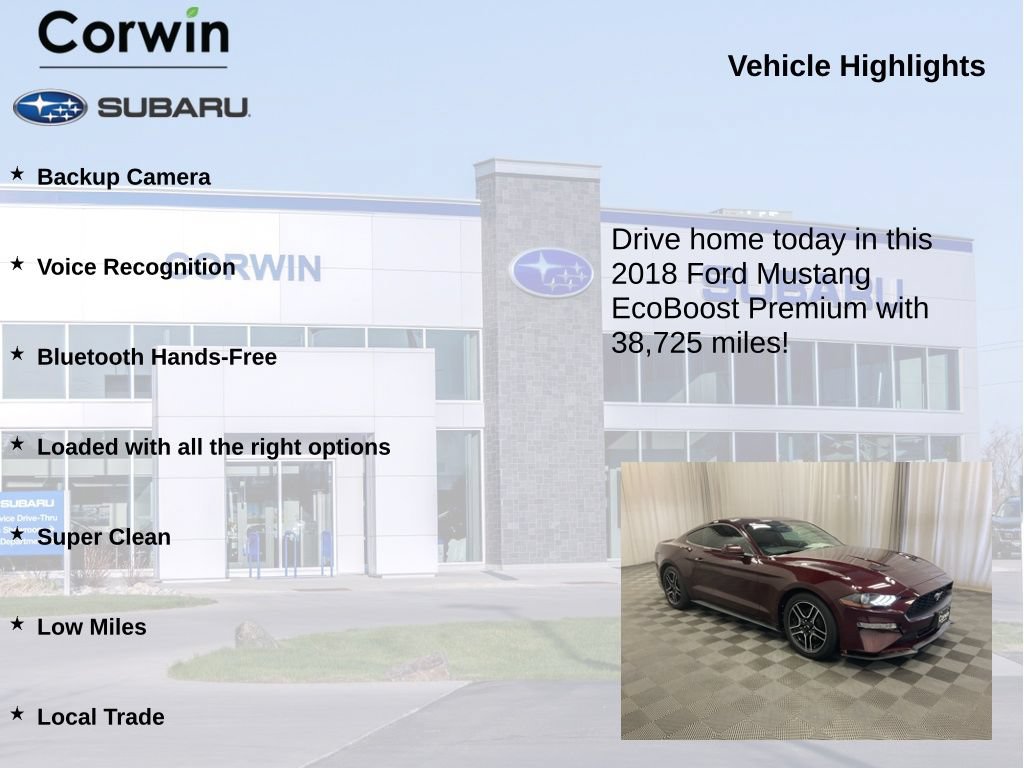 Used 2018 Ford Mustang Premium w/ Equipment Group 201A RWD image 6