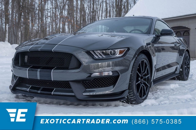Used 2015 Ford Mustang Shelby GT350 image 1