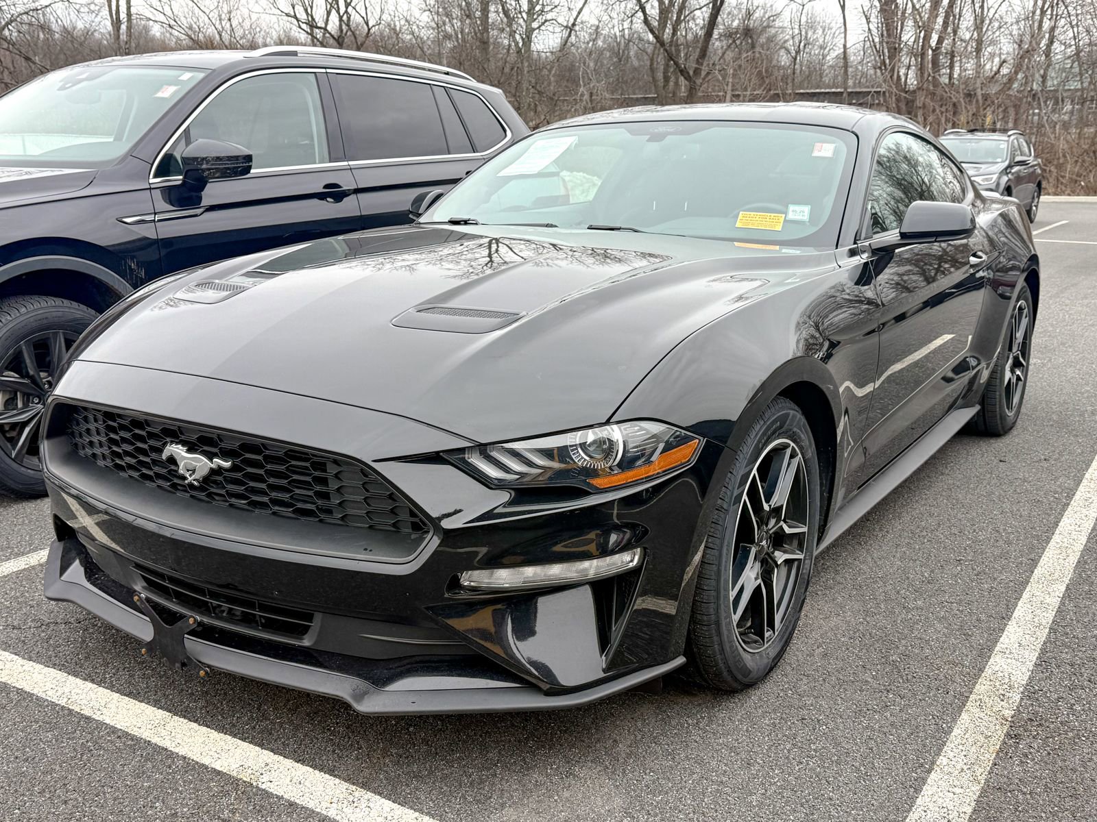 Used 2020 Ford Mustang EcoBoost w/ Equipment Group 101A image 3