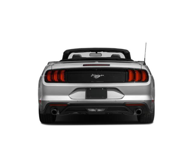 Used 2019 Ford Mustang Premium RWD image 6