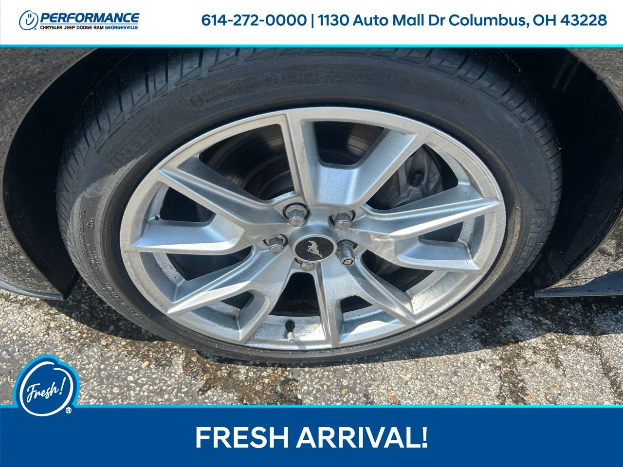 Used 2015 Ford Mustang GT Premium w/ Equipment Group 401A RWD image 10