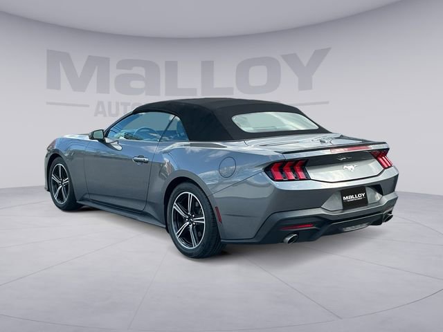 Certified 2024 Ford Mustang Premium image 3