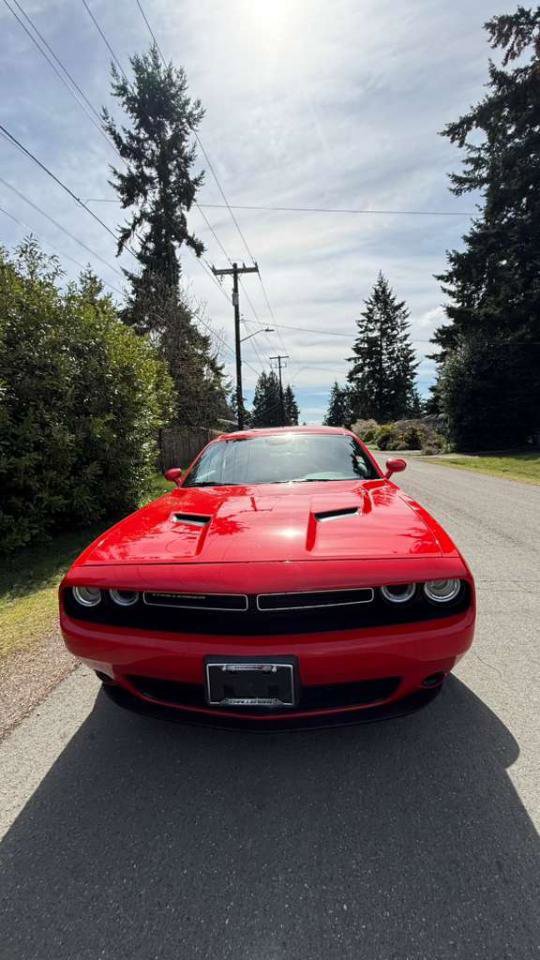 Used 2019 Dodge Challenger SXT RWD image 4