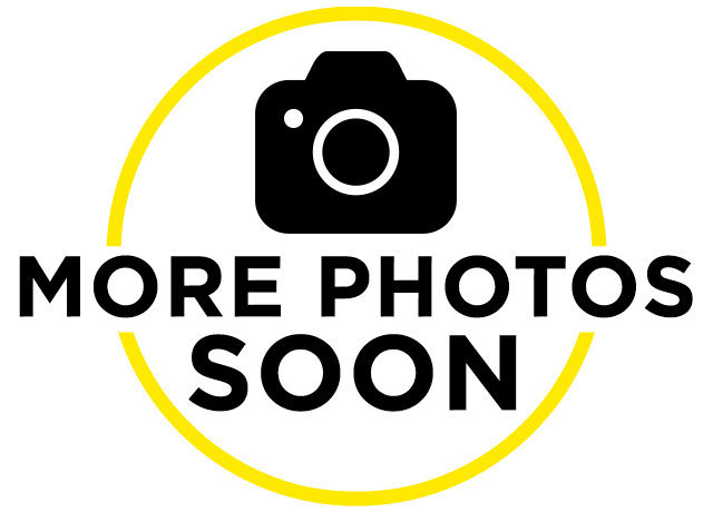Used 2021 Ford Mustang Mach-E Premium RWD image 10