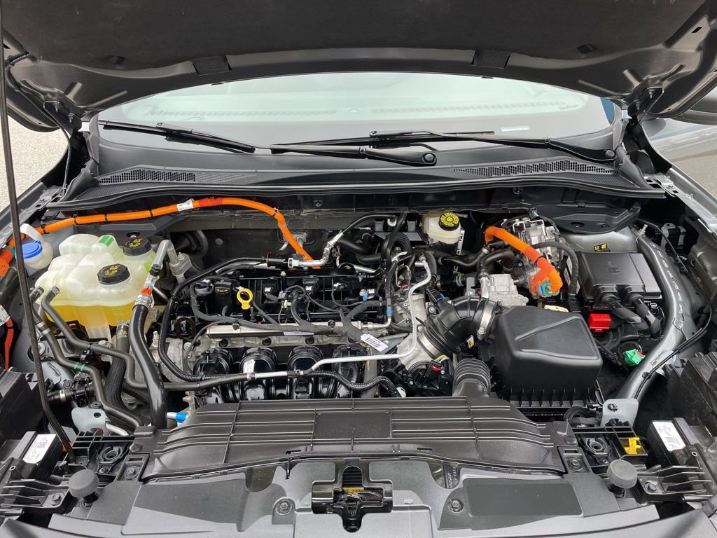 Used 2025 Ford Escape ST-Line w/ Equipment Group 301A image 56