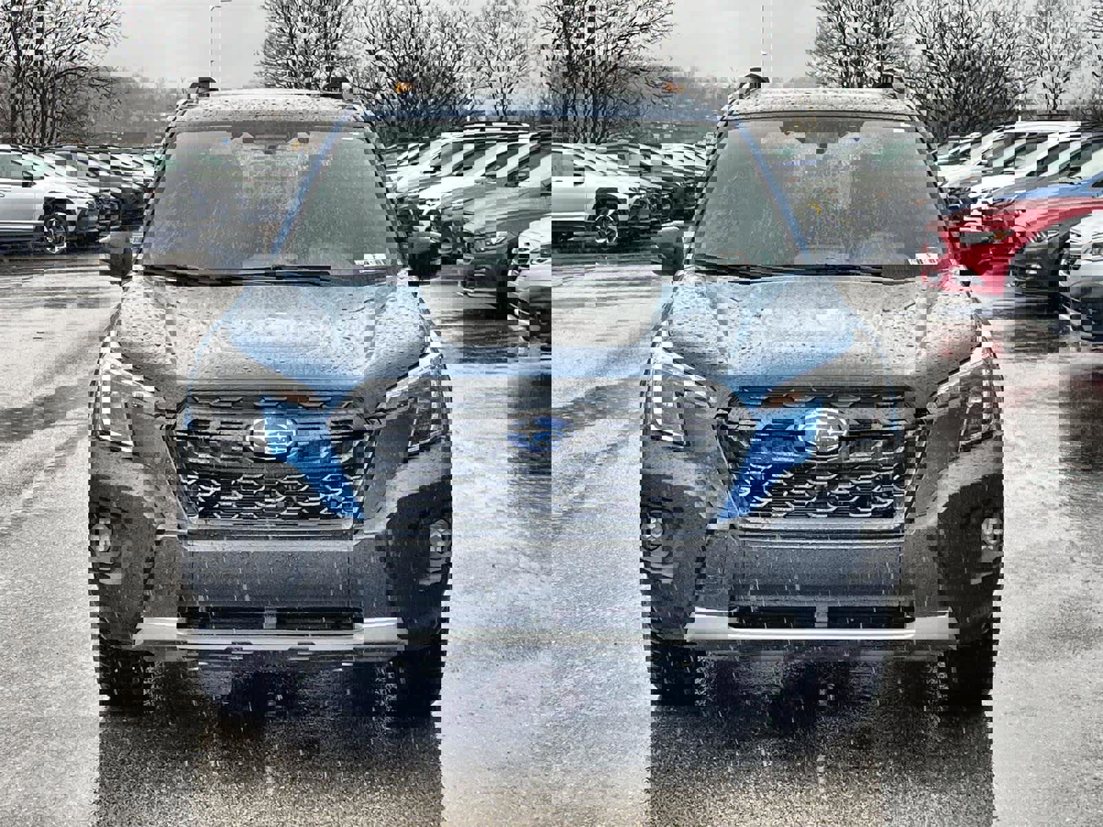 Certified 2025 Subaru Forester Wilderness image 8