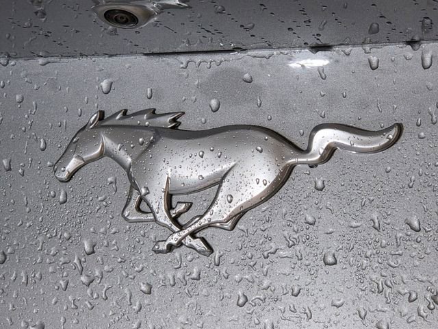 Used 2024 Ford Mustang Premium RWD image 13