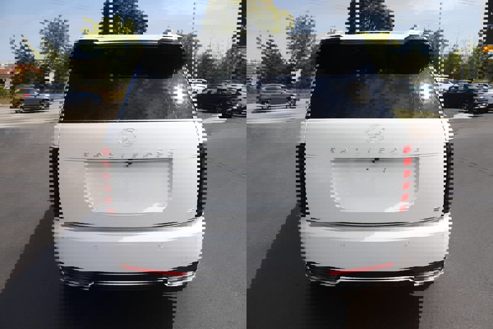 New 2026 Hyundai Palisade Calligraphy image 6