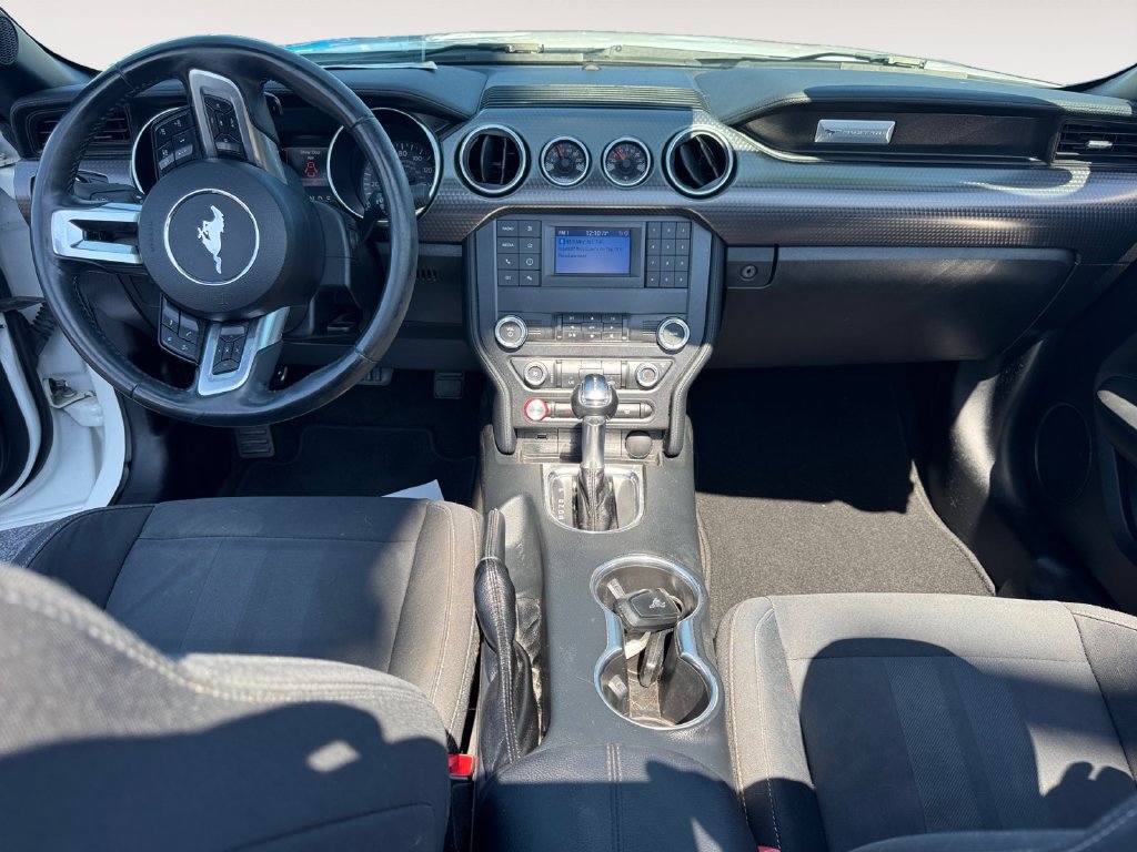 Used 2019 Ford Mustang Convertible w/ Ecoboost Performance Package RWD image 10