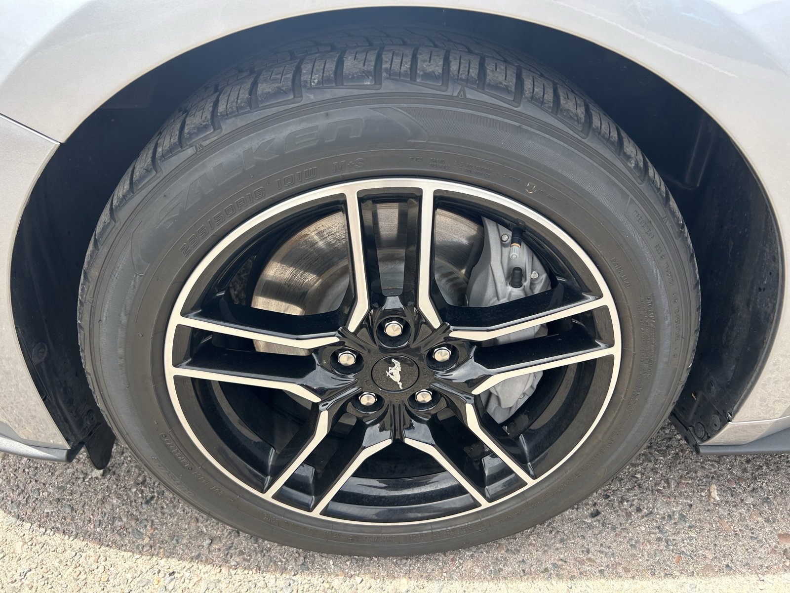 Used 2021 Ford Mustang GT w/ Equipment Group 301A RWD image 8