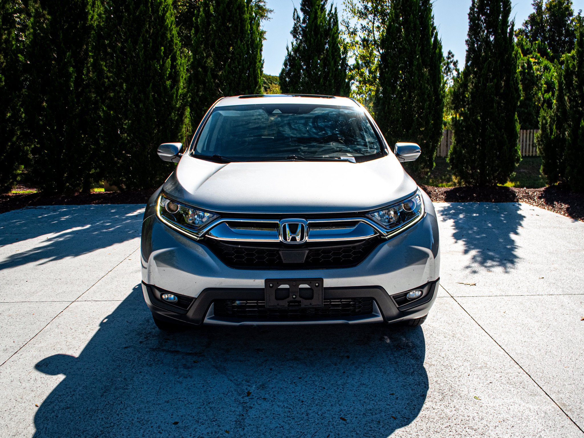 Used 2019 Honda CR-V EX-L image 3