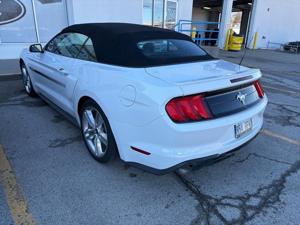 Used 2020 Ford Mustang Premium w/ Equipment Group 201A image 4