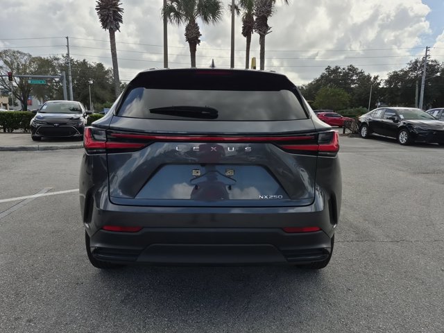 Used 2024 Lexus NX 250 FWD w/ Cold Area Package image 6